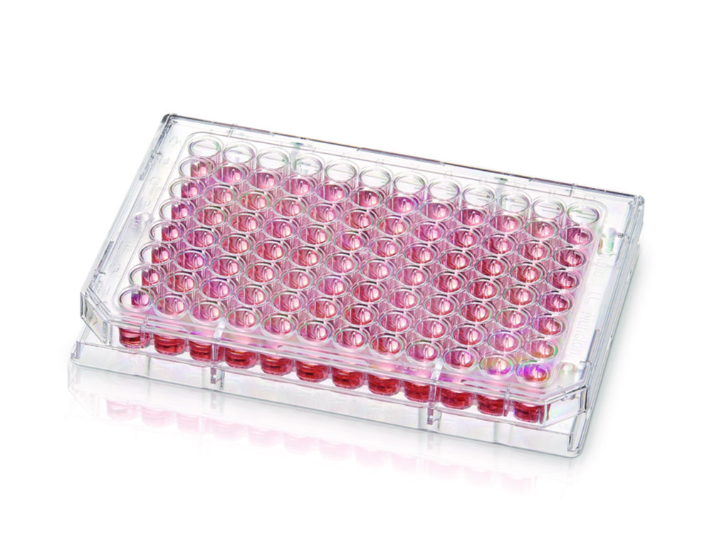 Cell culture plates Nunc™, PS, with Nunclon™ Supra surface