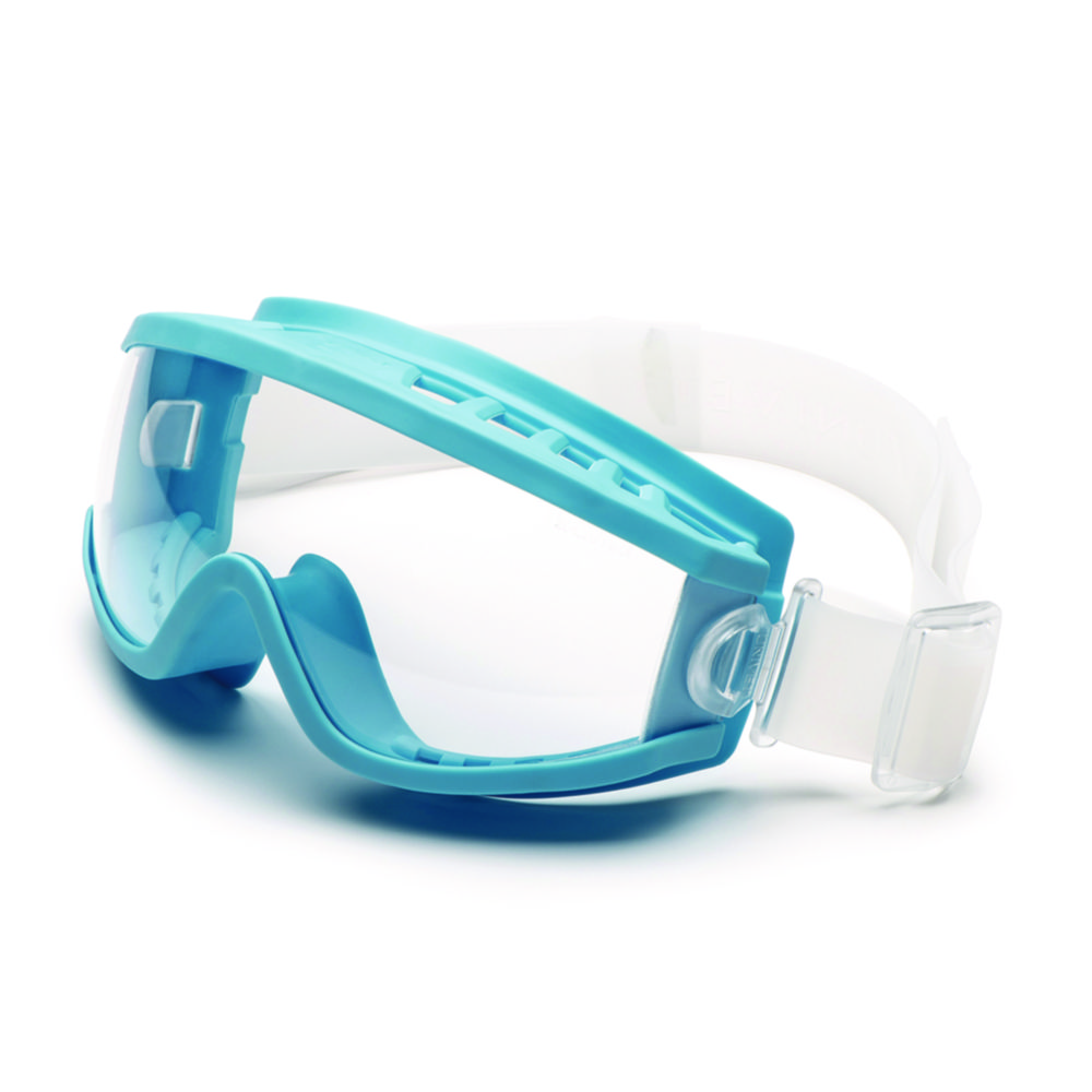 Panoramic Eyeshield 619, Polycarbonate, direct ventilation