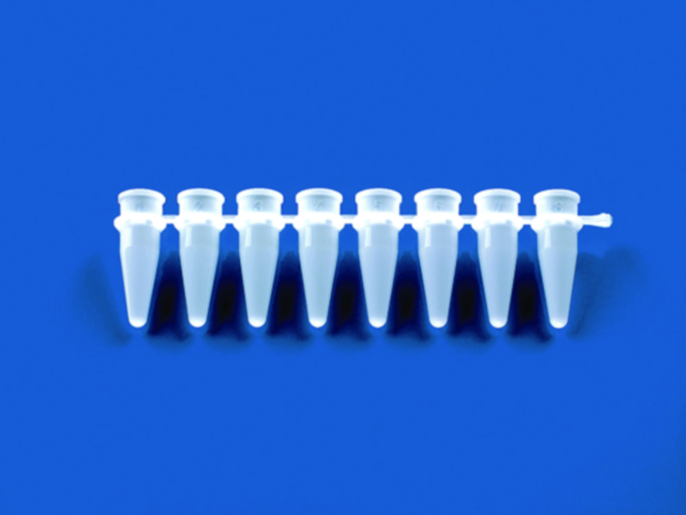 Strips of 8-/12- PCR tubes plus detached cap strips, PP