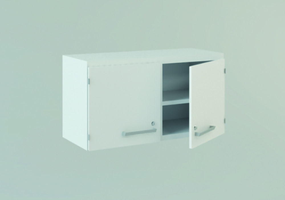 Wall-mounted cabinet