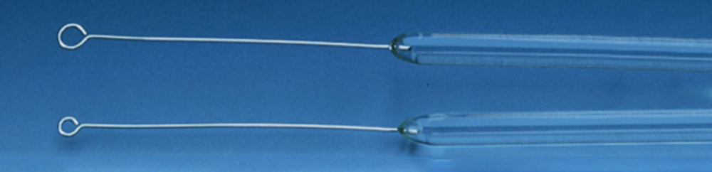 Impfösen, Platin-Iridium, eingeschmolzen im Glasstab