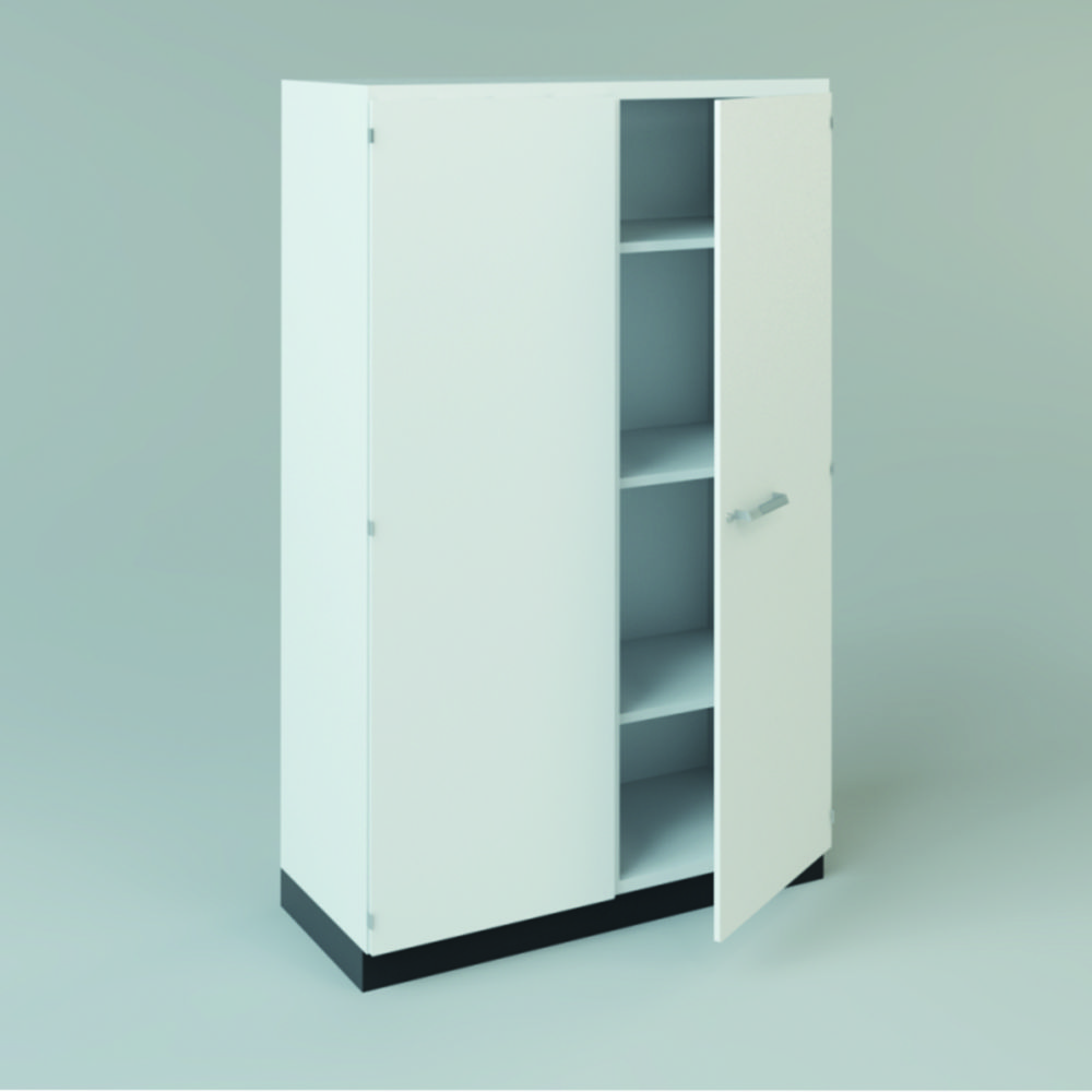 Wall-mounted cabinet